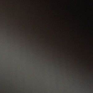 Meet your Posher, Bella